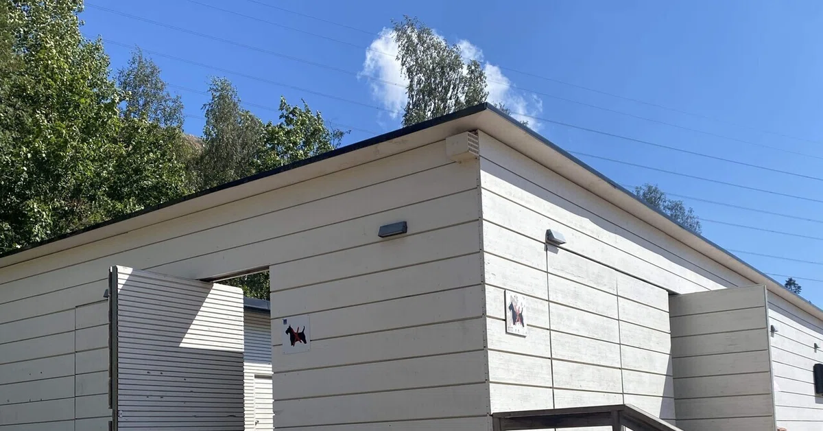 【内山竣太選手 寄稿】フィンランドのサウナで起きた”血まみれ事件”。それでも誰も驚かない理由