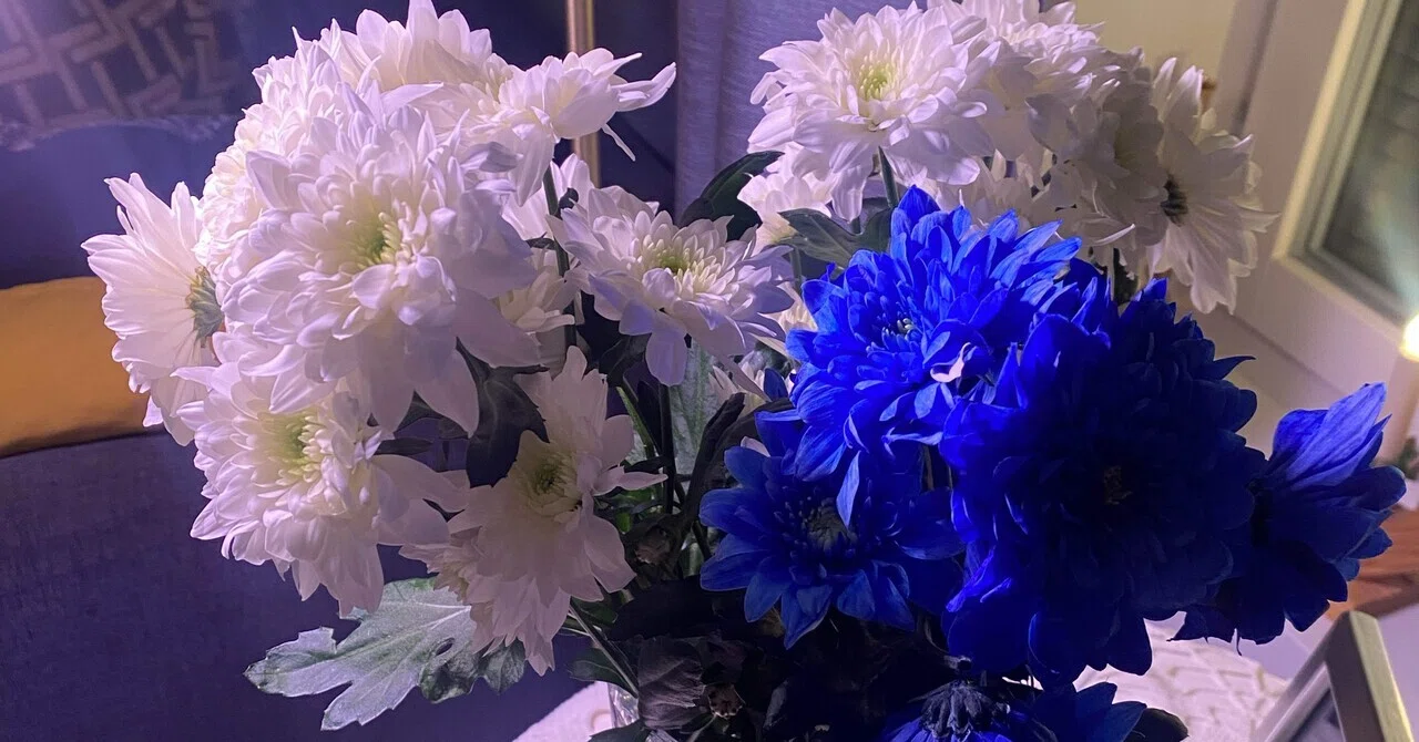 【内山竣太選手 寄稿】フィンランド過ごした独立記念日🇫🇮