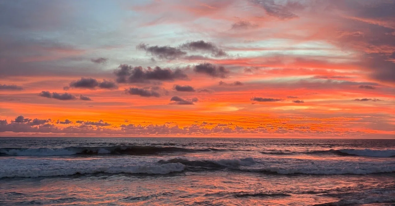 【西原拓夢選手 寄稿】何事も楽しんだもの勝ち